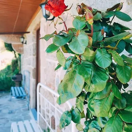 Casa Cabreiros De Baixo