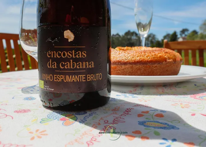 Ferienhaus Casa Cabreiros De Baixo Melgaço