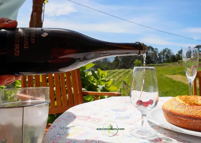 Ferienhaus Casa Cabreiros De Baixo Melgaço
